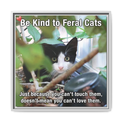 Be Kind to Feral Cats Framed Canvas Print