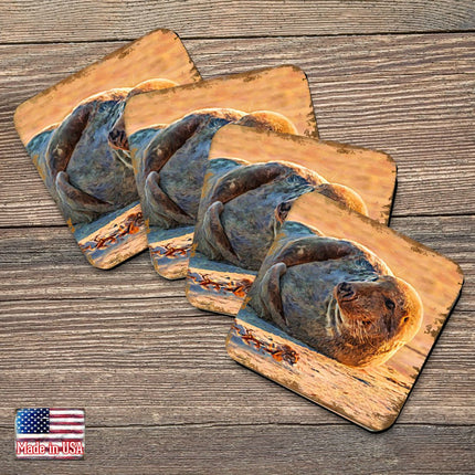 Seal Coastal Wooden Cork Coasters Gift Set of 4 by Nature Wonders - Coastal Sea-Life Decor - 95260C-S4-0