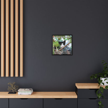 Be Kind to Feral Cats Framed Canvas Print