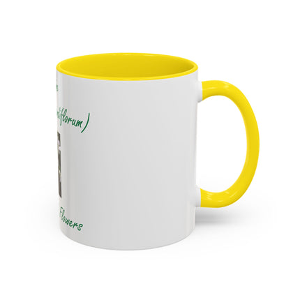 Jasmine Flower Accent Mug – King of Flowers, 11oz