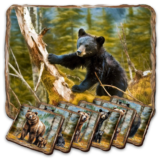 Bear Haven Wooden Cork Placemat and Coasters Gift Set of 7 by Nature Wonders Nature Wildlife Décor  - 85409C-S7-0