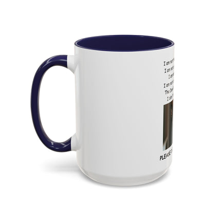 Black Cat 'Please Don't Hurt Me' Accent Coffee Mug – Dispelling Superstitions Gift