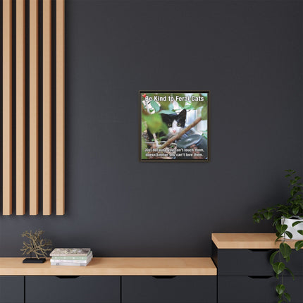 Be Kind to Feral Cats Framed Canvas Print