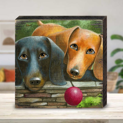 Where's the Ball Wooden Wall Art by Laura Seeley - Pets Dog and Cats Decor - 8511116B-0