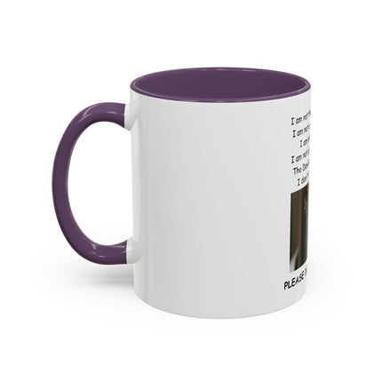 Black Cat 'Please Don't Hurt Me' Accent Coffee Mug – Dispelling Superstitions Gift