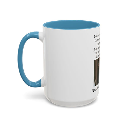 Black Cat 'Please Don't Hurt Me' Accent Coffee Mug – Dispelling Superstitions Gift