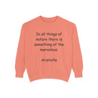 Terracotta / S