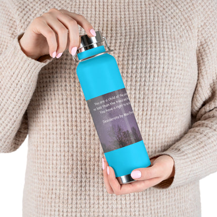 Inspirational Copper Insulated Water Bottle - 22oz with Motivational Quote