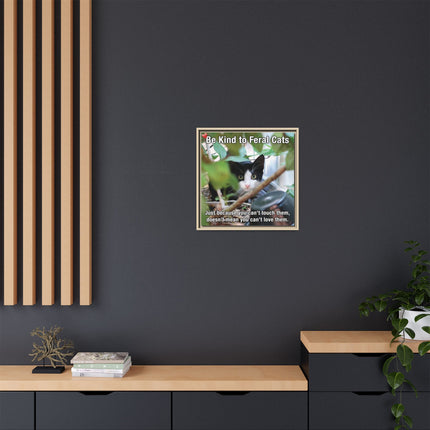 Be Kind to Feral Cats Framed Canvas Print