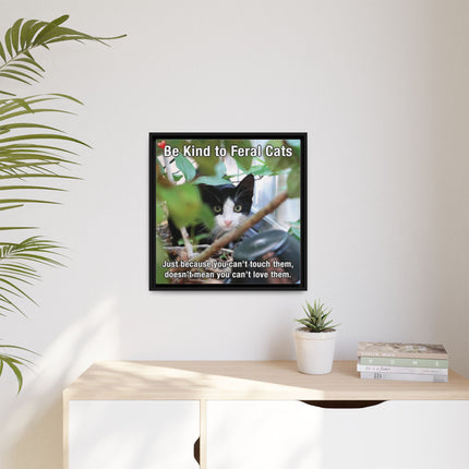 Be Kind to Feral Cats Framed Canvas Print