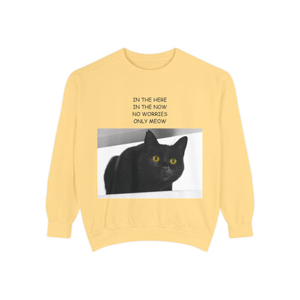 ‘Only Meow’ Cozy Sweatshirt – Cat Lover’s Quote for Calm & Comfort