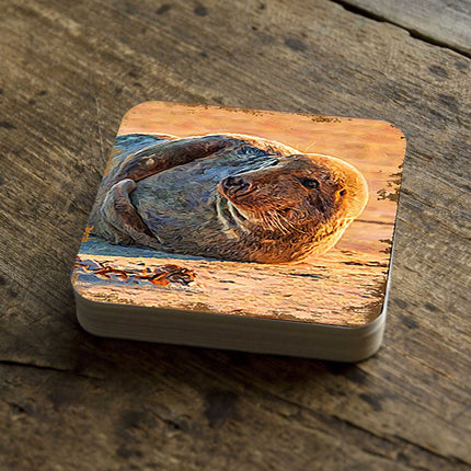 Seal Coastal Wooden Cork Coasters Gift Set of 4 by Nature Wonders - Coastal Sea-Life Decor - 95260C-S4-2