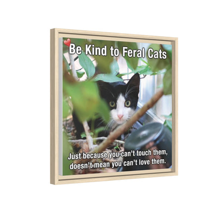 Be Kind to Feral Cats Framed Canvas Print