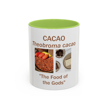 Cacao Coffee Mug – "The Food of the Gods" Botanical Cocoa Illustration (11/15 oz)