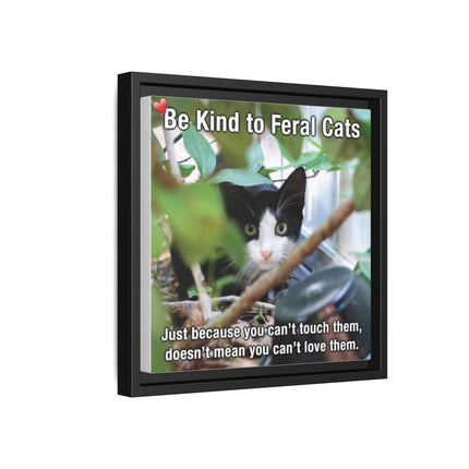 Be Kind to Feral Cats Framed Canvas Print