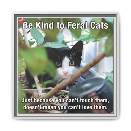 Be Kind to Feral Cats Framed Canvas Print