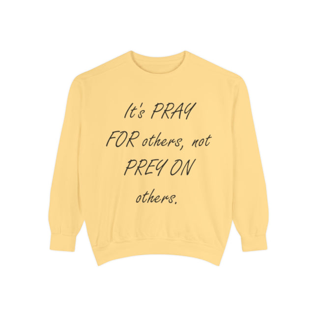 Faith-Based Pullover – “Pray, Don’t Prey” – Everyday Wear