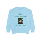 Chambray / S