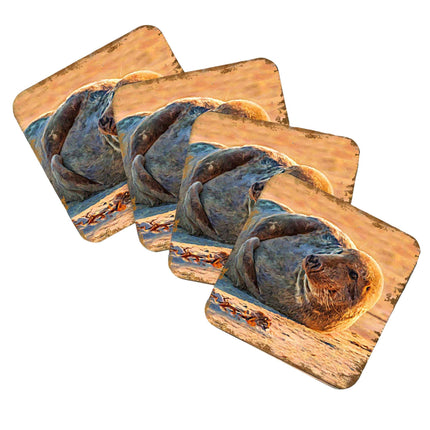 Seal Coastal Wooden Cork Coasters Gift Set of 4 by Nature Wonders - Coastal Sea-Life Decor - 95260C-S4-4