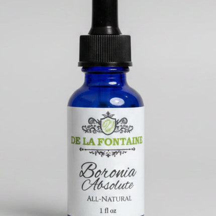 Boronia Absolute 1 fl oz-0