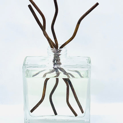 Reed Diffuser-4