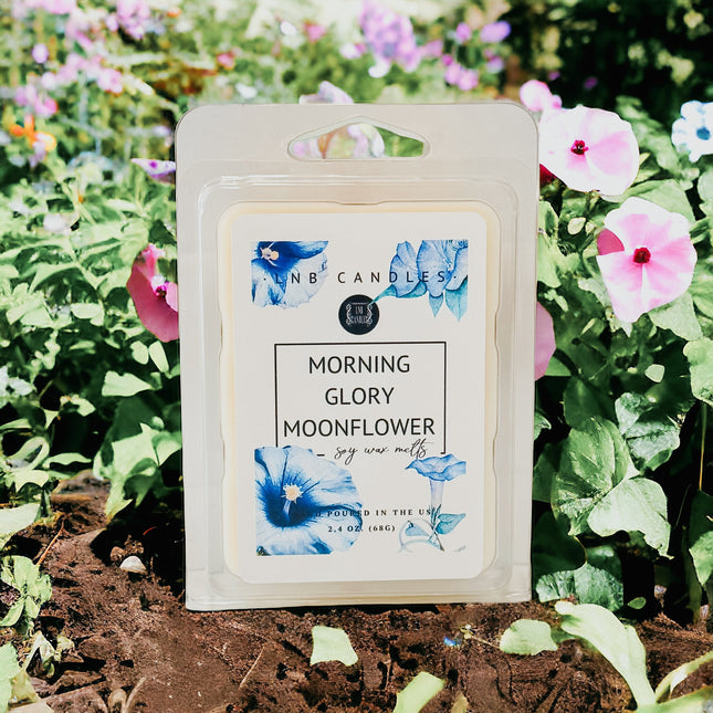 Morning Glory Moonflower Scent Wax Melt 3 PACK-0
