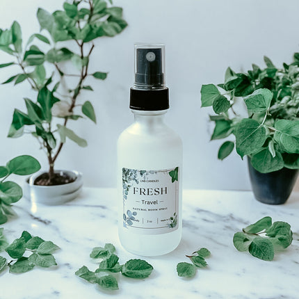 Fresh Travel Size Room Spray Mint Eucalyptus Scent-0