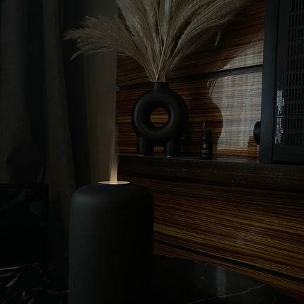 Essential Oil Diffuser - Ash-3