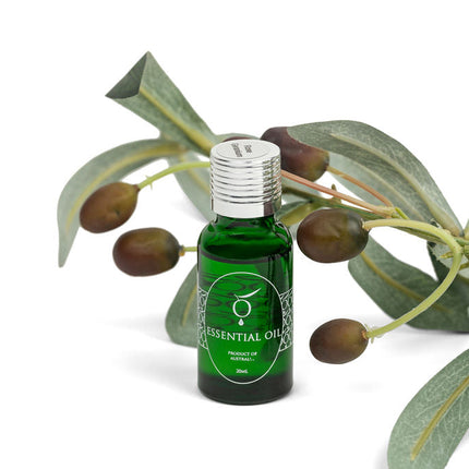 Essential Oil , Rose Geranium, 20ml-0