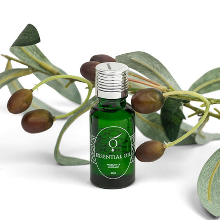 Essential Oil, Lavender , 20ml-0