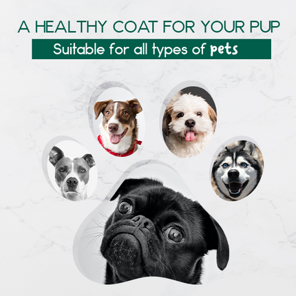 BeNat Pets. All-Natural Pet Shampoo Bar. Oat. 5.8 oz.-4