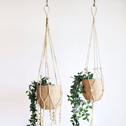 Plant Hanger - Fiora-2