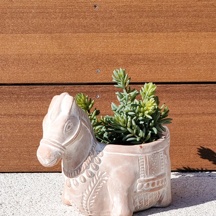 Terracotta Pot - Horse-4