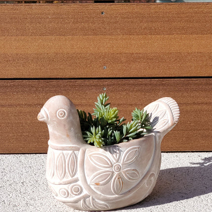 Terracotta Pot - Spotted Dove-3