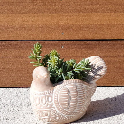 Terracotta Pot - Turtle Dove-3