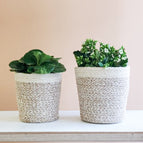 Set of 2