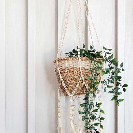 Plant Hanger - Fiora-1