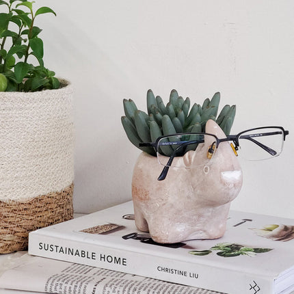 Terracotta Pot - Rhino-2