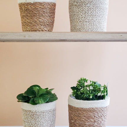 Agora Plant Basket - White-3