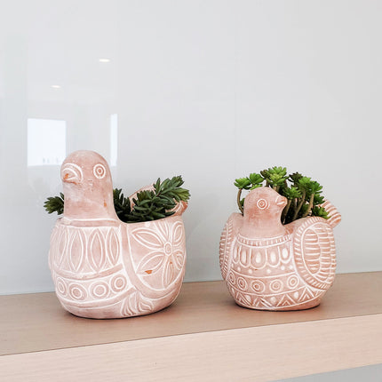 Terracotta Pot - Spotted Dove-4