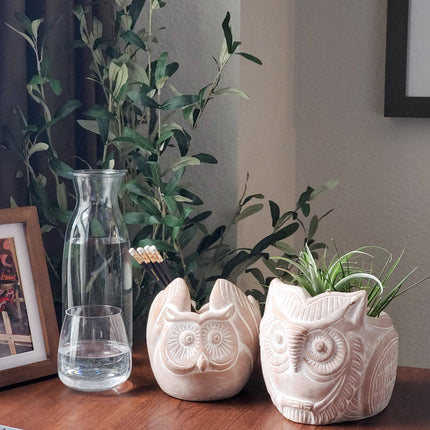 Terracotta Pot - Horned Owl-3