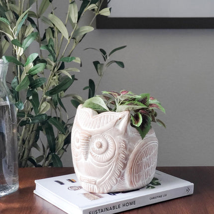 Terracotta Pot - Horned Owl-1