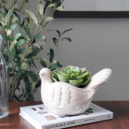 Terracotta Pot - Turtle Dove-1