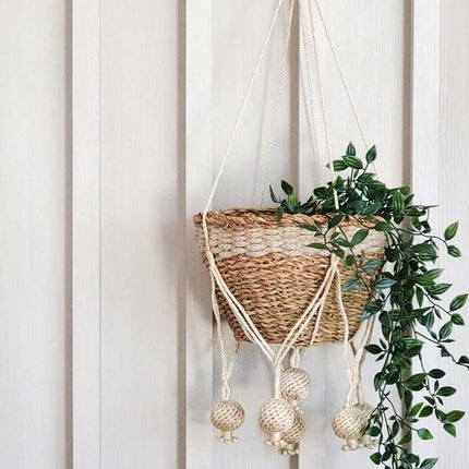 Plant Hanger - Kadam-1