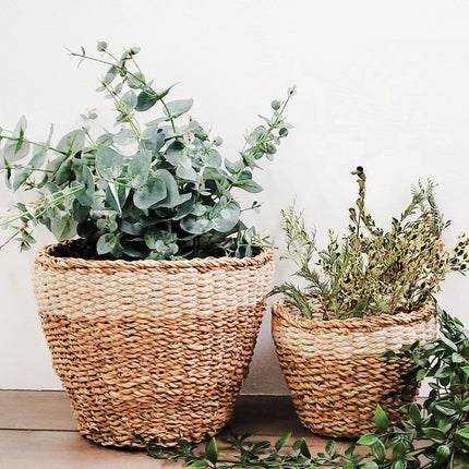 Savar Planter-2