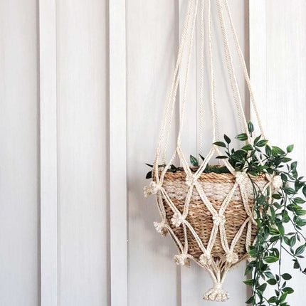Plant Hanger - Shuly-1