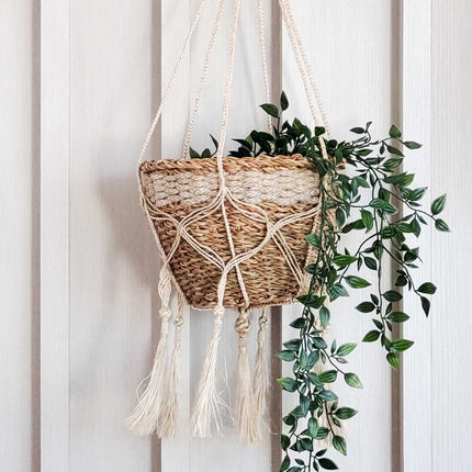 Plant Hanger - Bitan-4