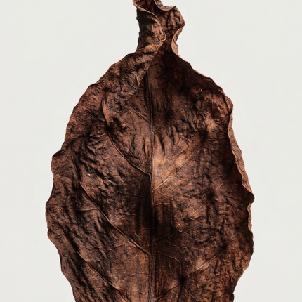 M2SKIN Incense