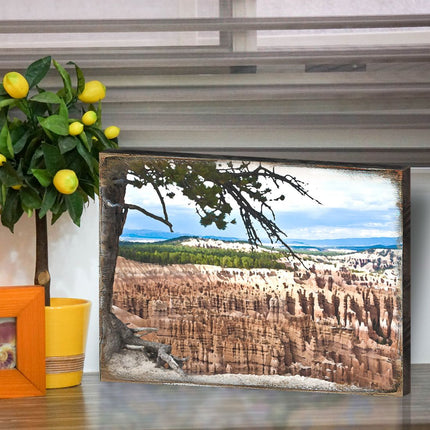 Canyon Tree View Art Wooden Wall Art by Nature Wonders - Nature Wildlife Decor  - 95281B-3
