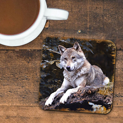 Wolf Wooden Cork Coasters Gift Set of 4 by Nature Wonders - Nature Wildlife Decor  - 95287C-S4-3